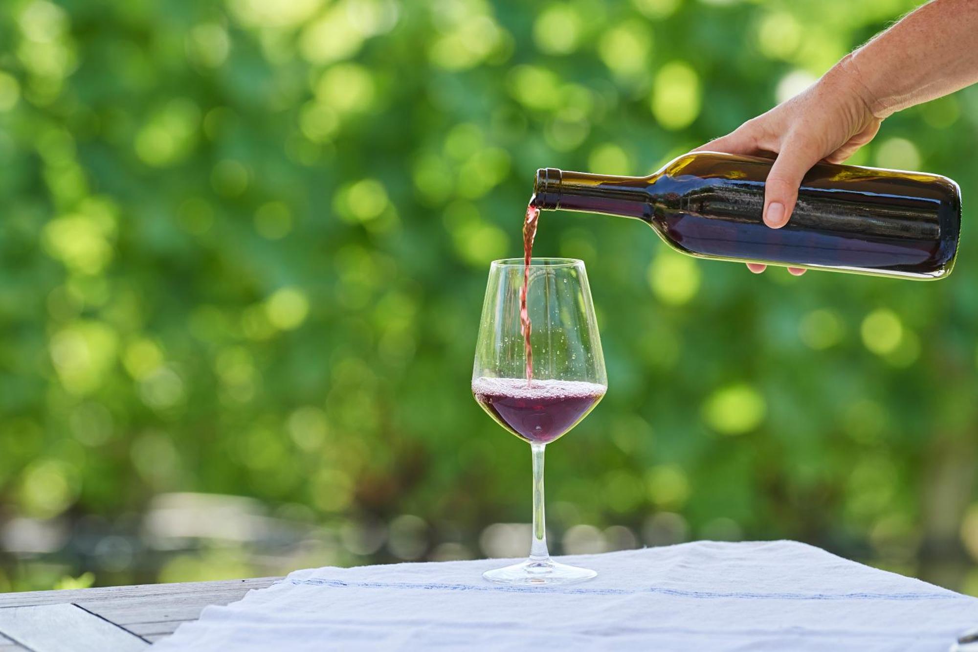 Weingut Stuck Lejlighed Eppan an der Weinstraße Eksteriør billede