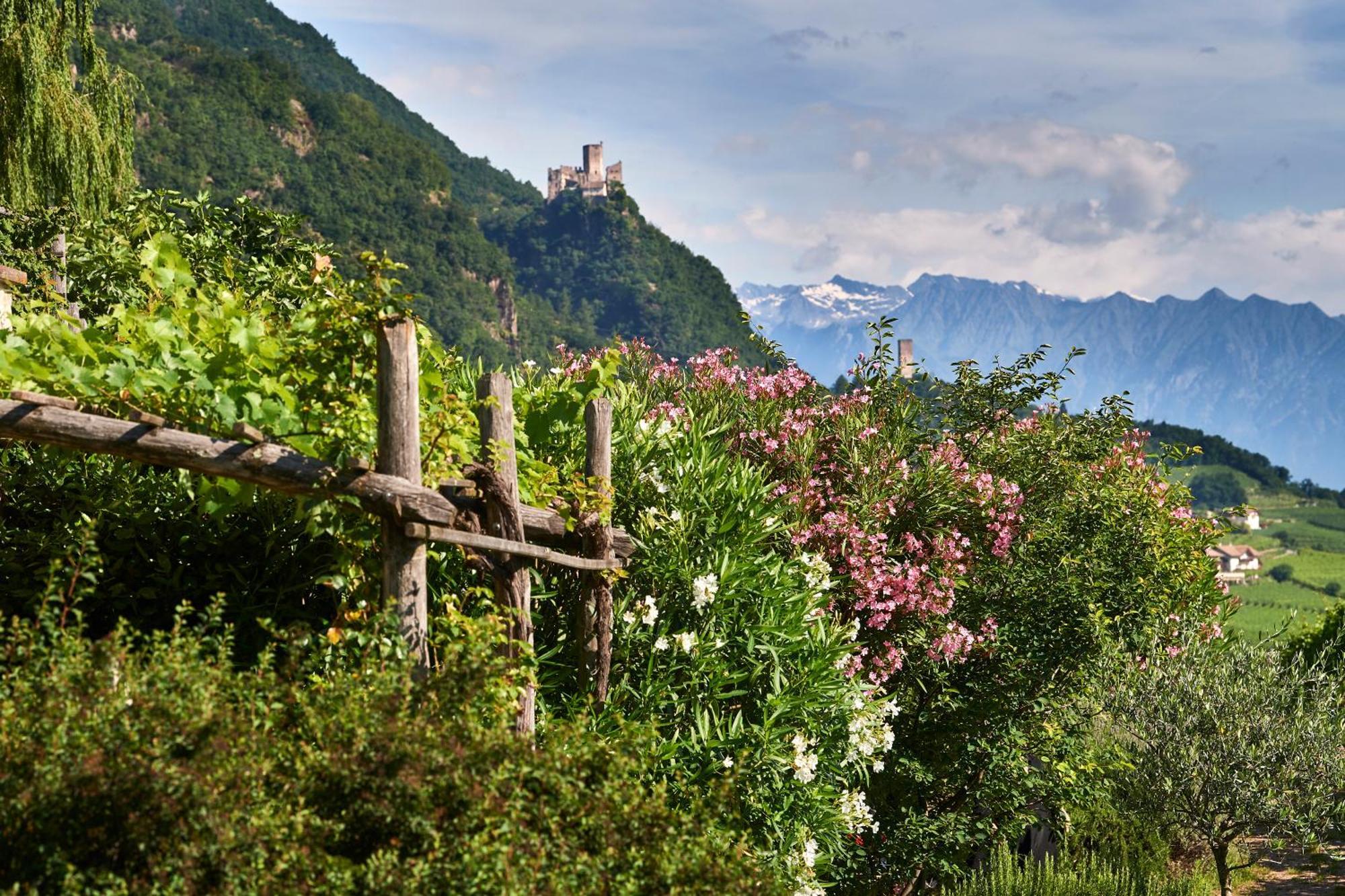 Weingut Stuck Lejlighed Eppan an der Weinstraße Eksteriør billede