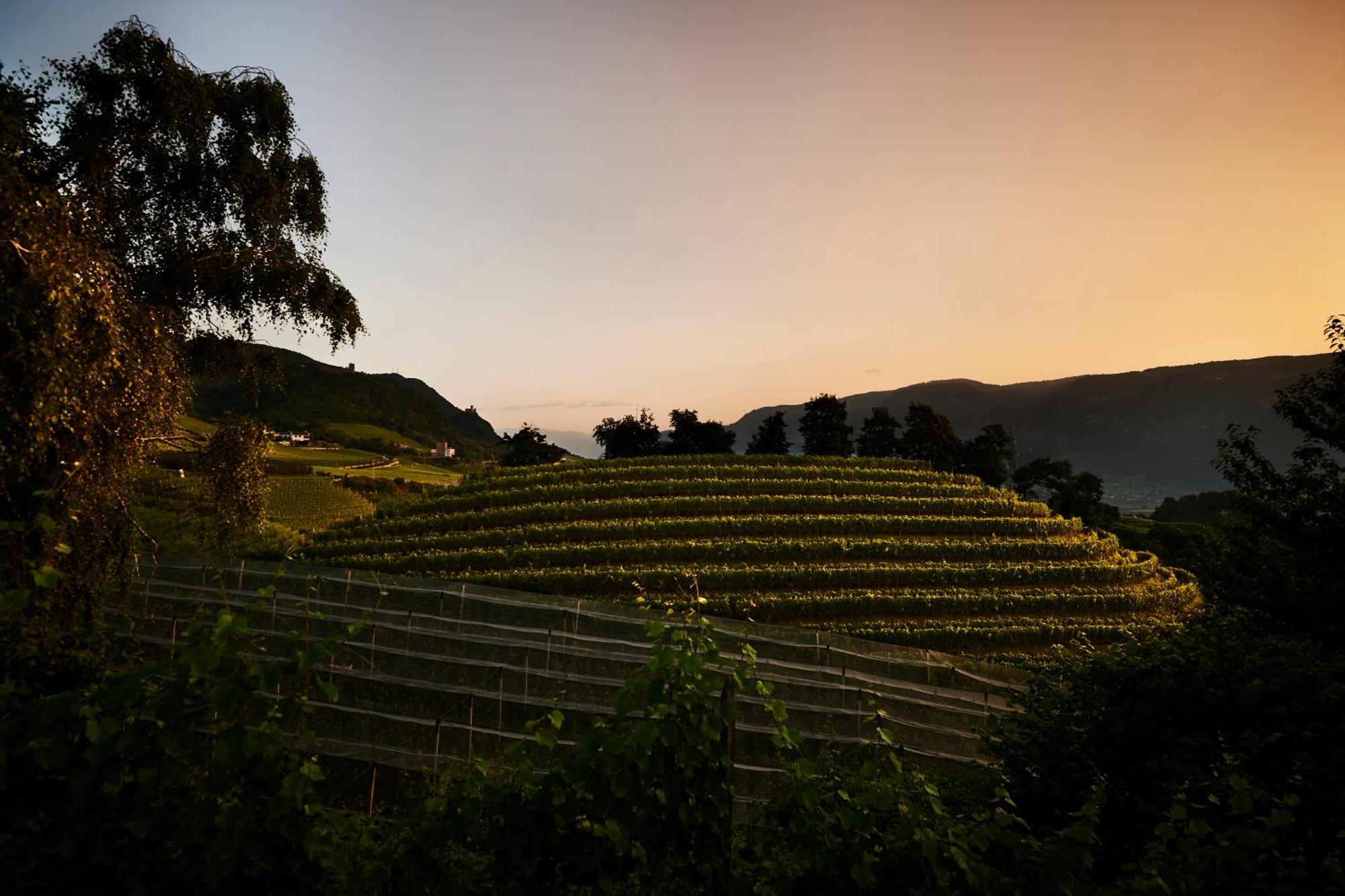 Weingut Stuck Lejlighed Eppan an der Weinstraße Eksteriør billede